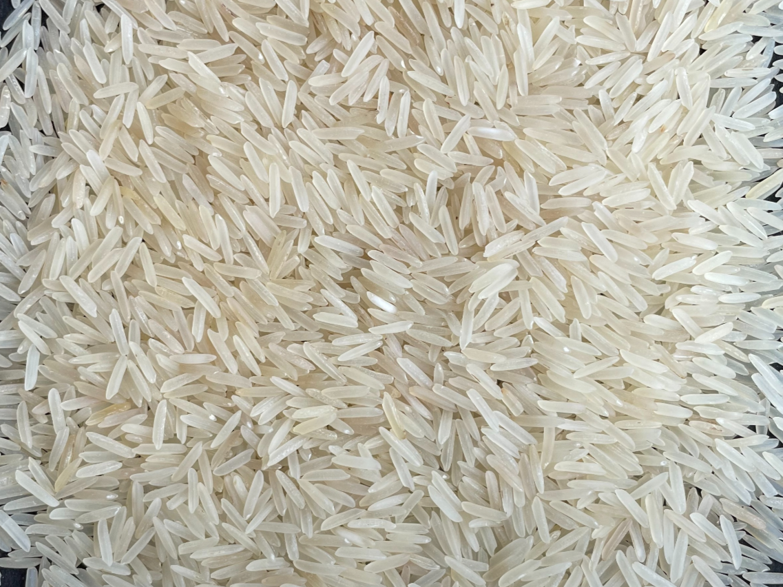 1121 Basmati Rice – Ark Exim